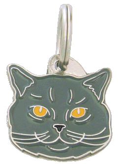 British Shorthair - Placa grabada, placas identificativas para gatos grabadas MjavHov.